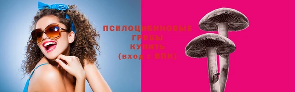 дмт Бронницы