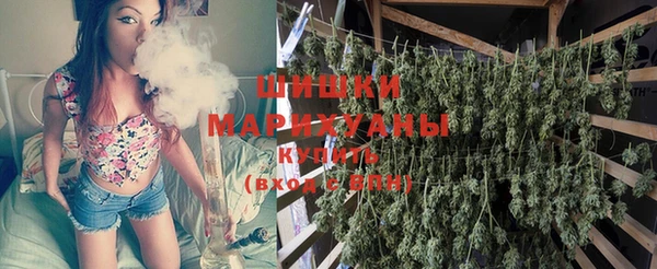 дмт Бронницы