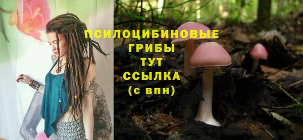 марки lsd Бородино