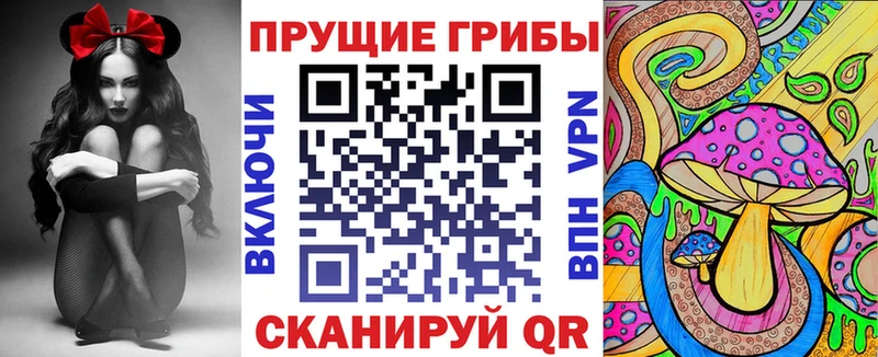Псилоцибиновые грибы Psilocybine cubensis  Ядрин 